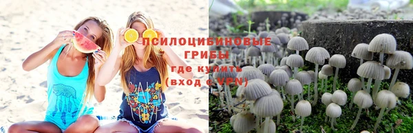 spice Магас