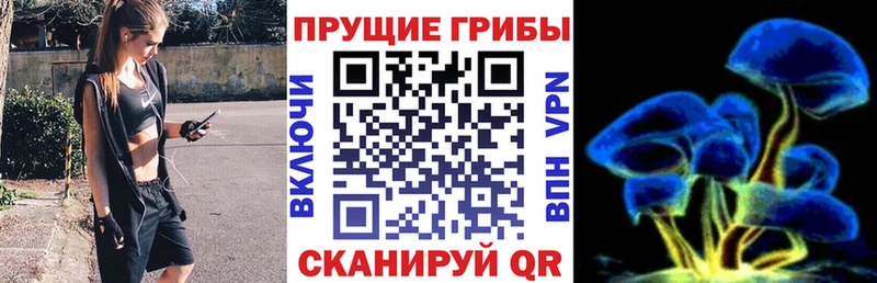 darknet состав  Туран  Галлюциногенные грибы Psilocybine cubensis  купить наркоту 